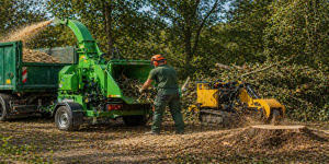 ♻️ Häckseln, Stubbenfräsen und Entsorgung